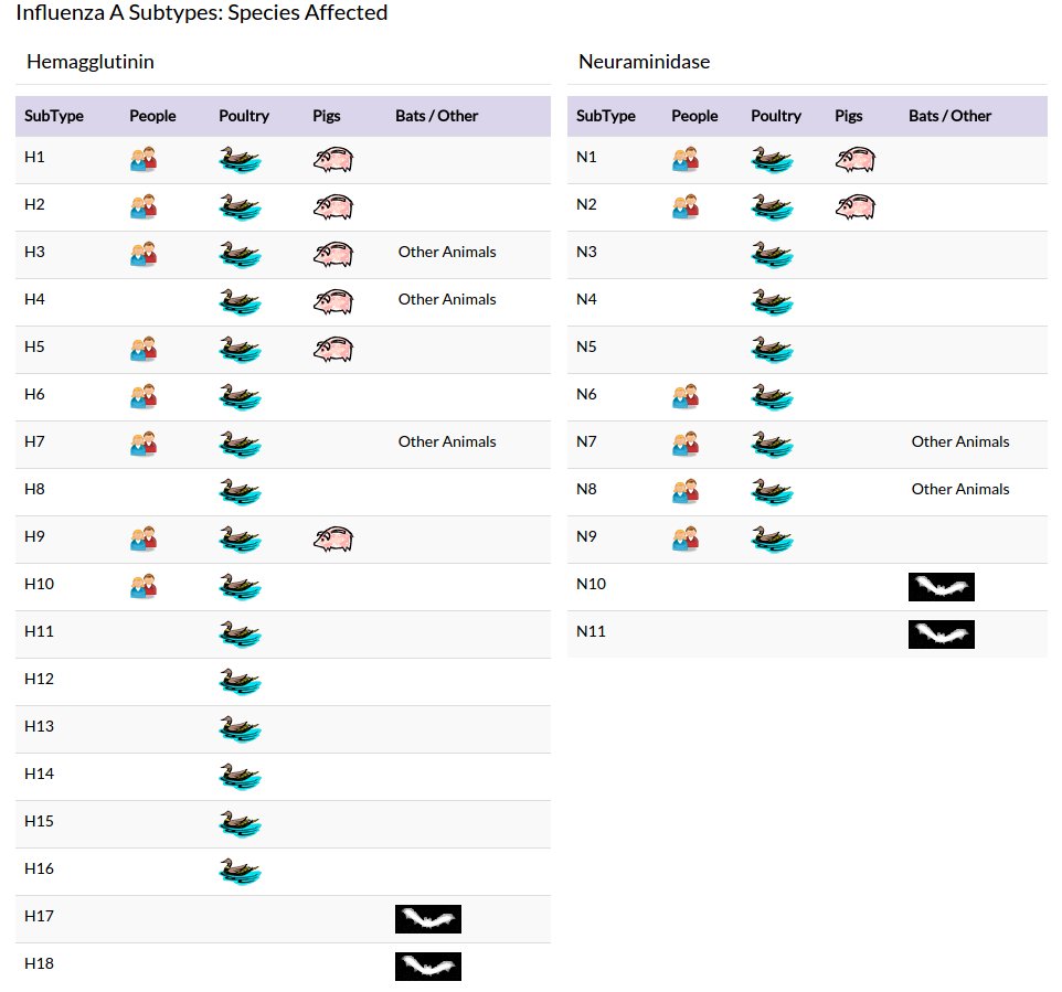 a graphic table depicting the kind of animals affected by different strands of influenza; which include humans, poultry, pigs, and to less degree other animals including bats 